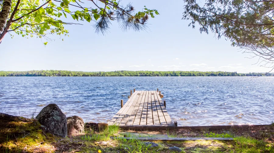 Pinegrove: the shoreline near the cottage, with a small dock