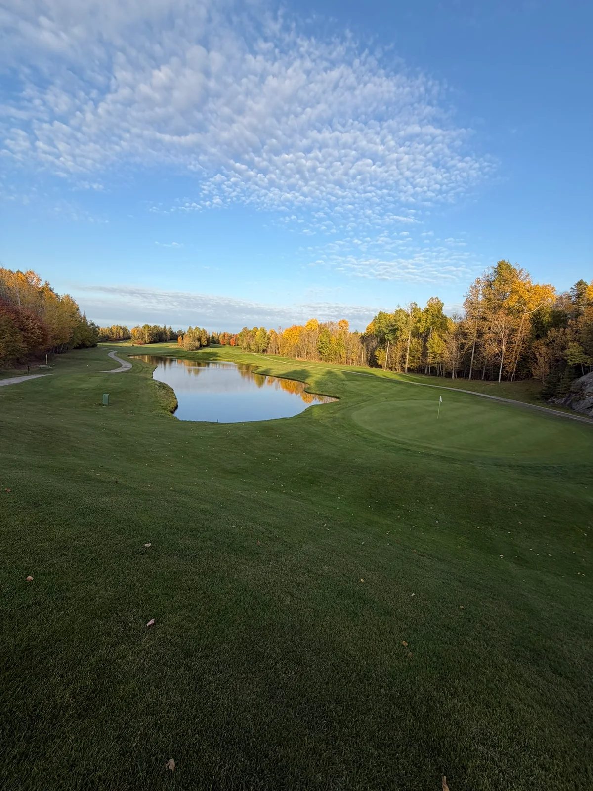 A golf green and pond surrounded by autumn trees