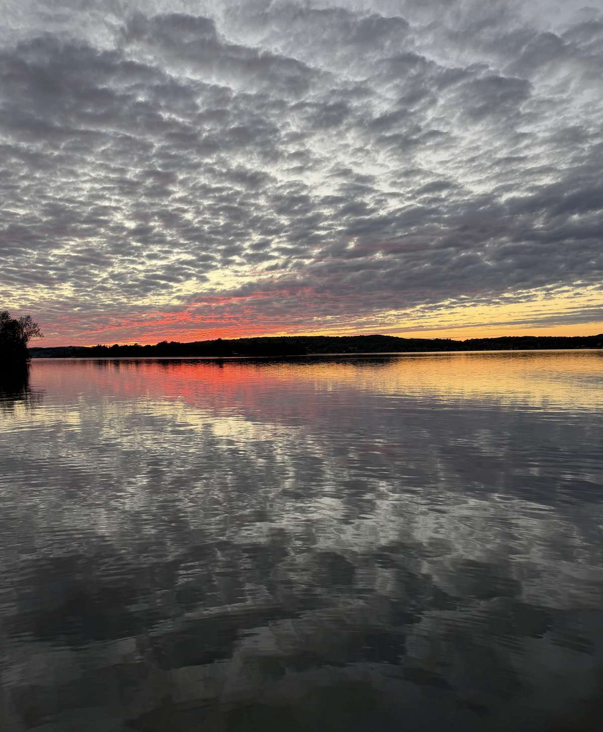 Rippled clouds lit pink and gold by the sunset over a wooded far shore, mirrored in calm lake water