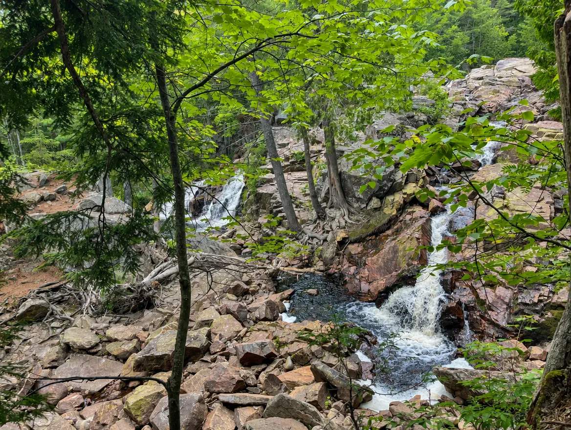 Waterfall flowing over rocks through a green forest.