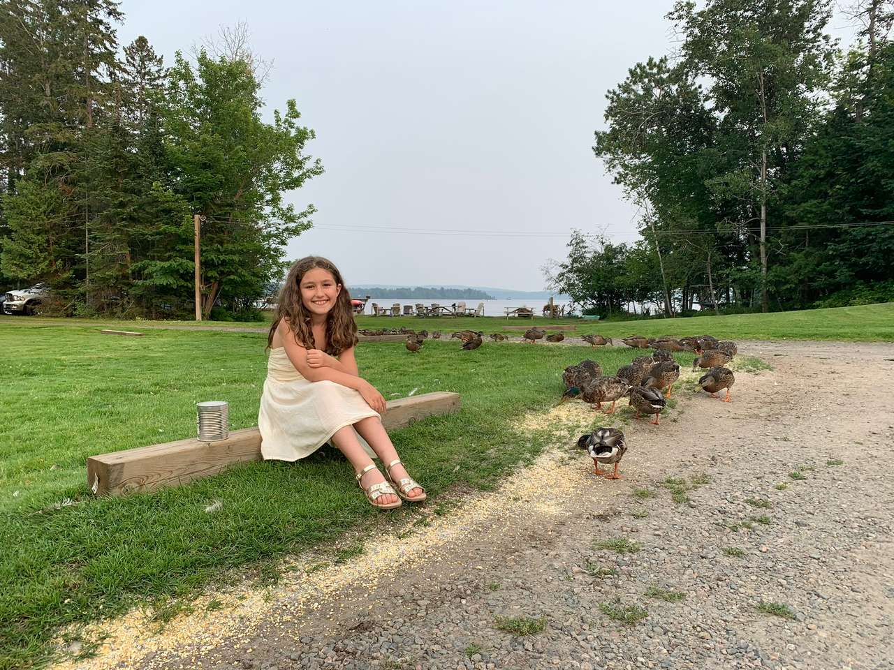 A smiling child in a white sundress sitting on a wooden beam on the lawn beside a flock of mallard ducks eating corn, with the lake beyond the trees