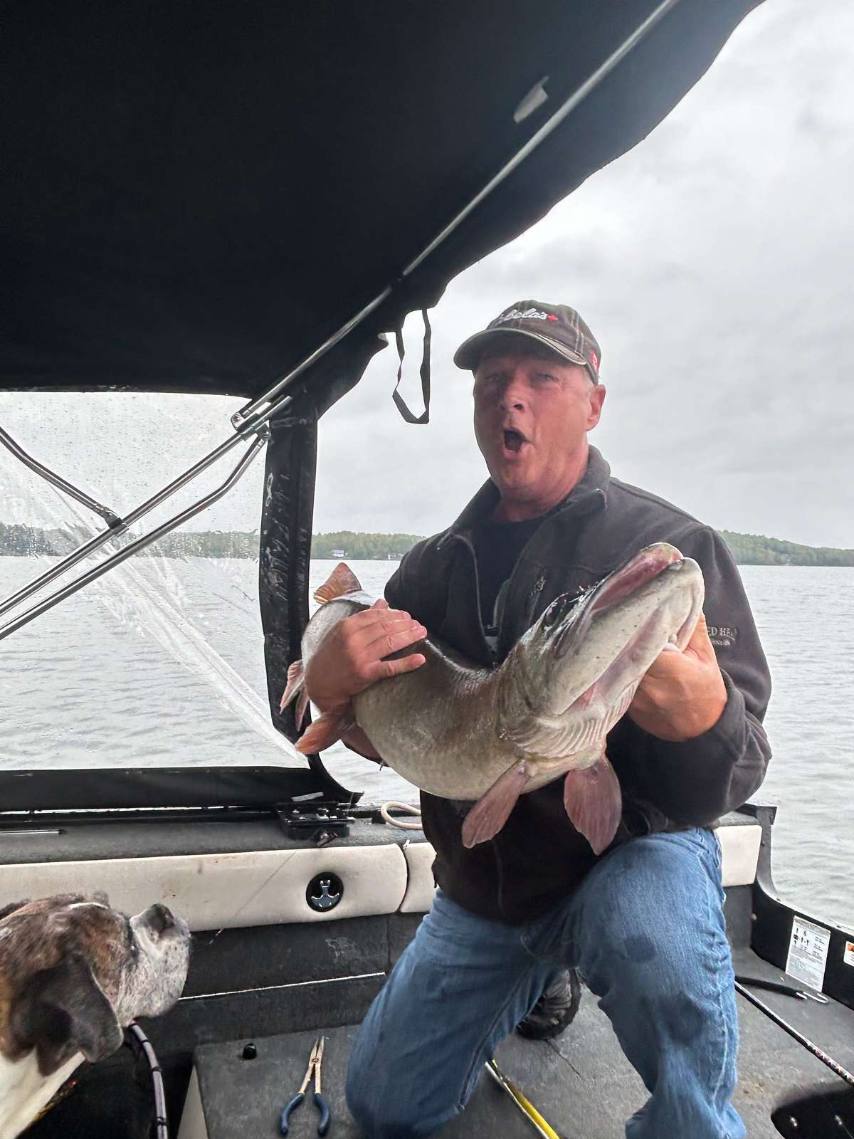 An excited angler kneeling under a boat's canopy, holding up a large muskie in both arms