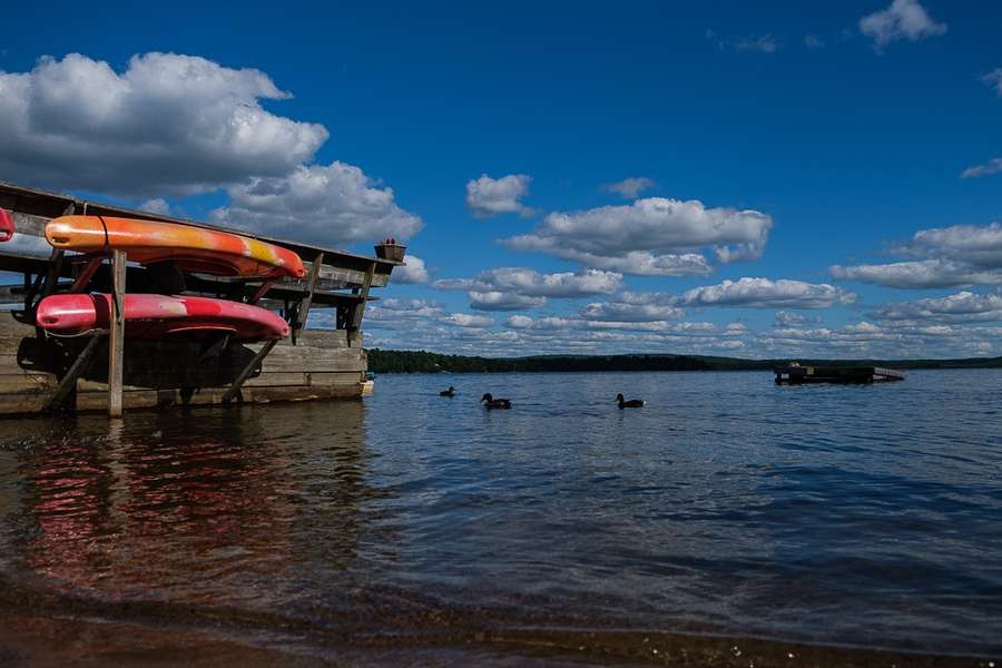 Orange and red kayaks on the rack at the end of the dock, with three ducks swimming on Lake Nosbonsing