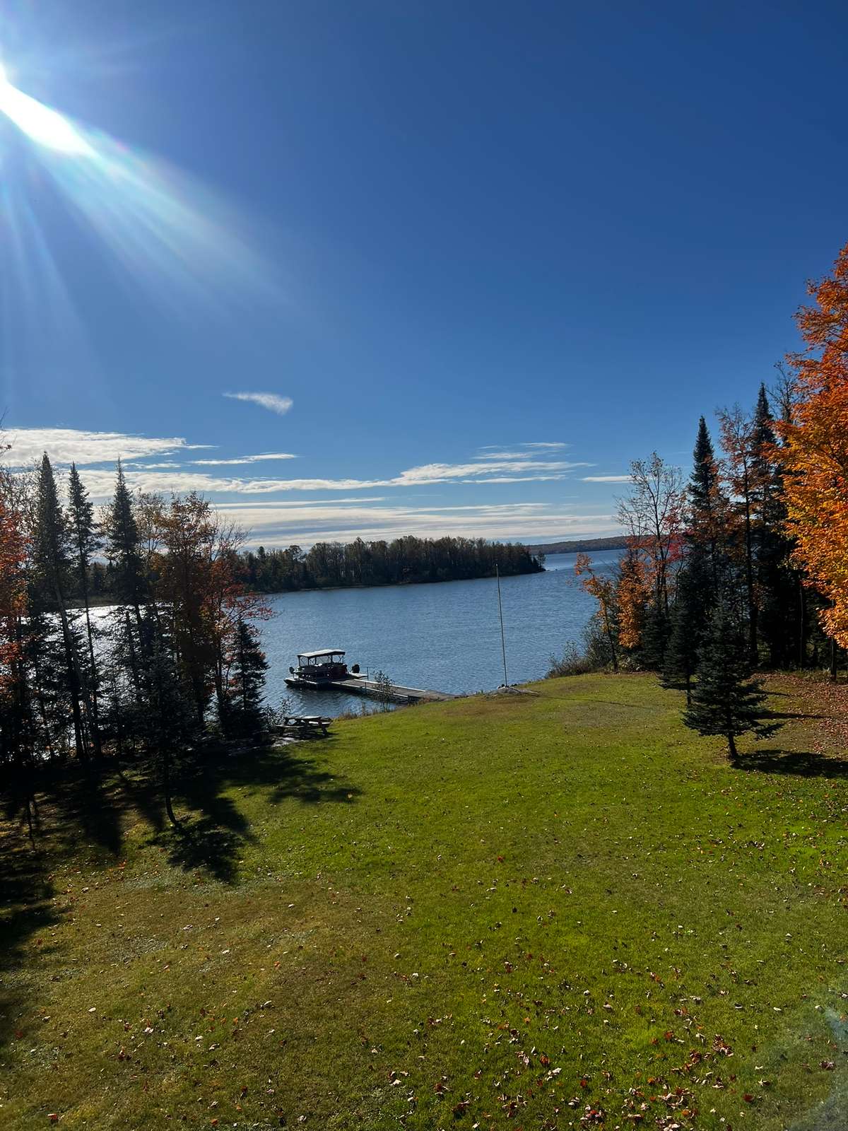 A sunny lawn sloping down between pines and orange autumn maples to a dock with a pontoon boat, the lake and a wooded island beyond under a blue sky